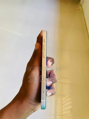 Apple iPhone 12 128GB (Used)