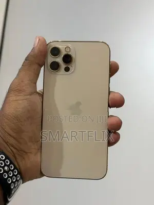 Apple iPhone 12 Pro (Used)