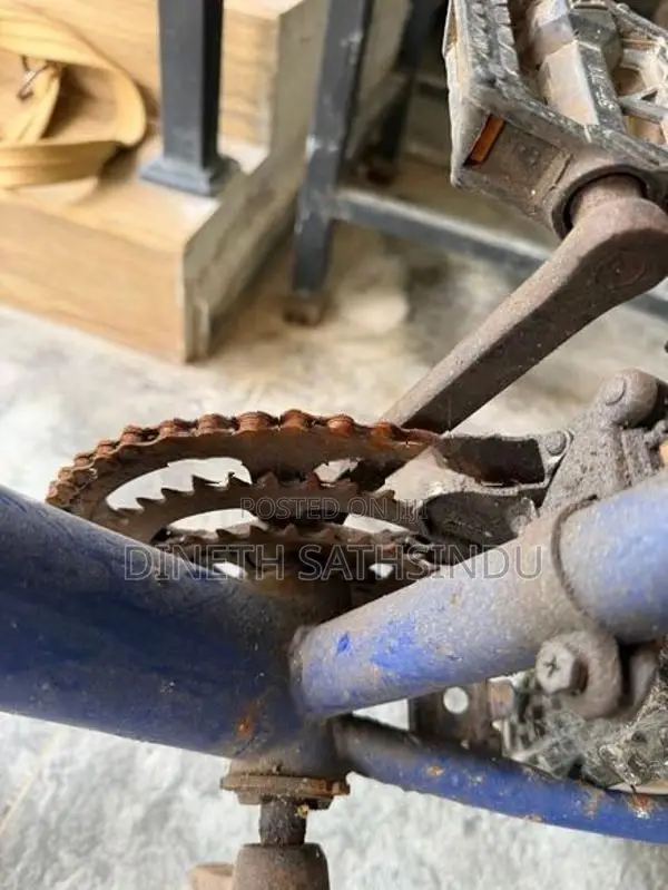 Bicycle