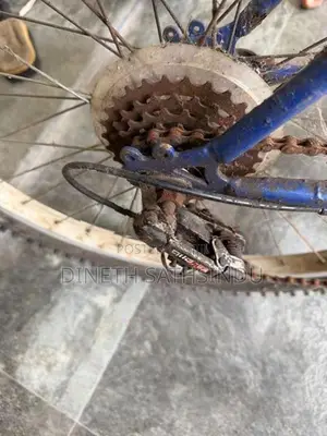 Bicycle