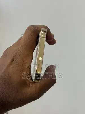 Apple iPhone 12 Pro (Used)