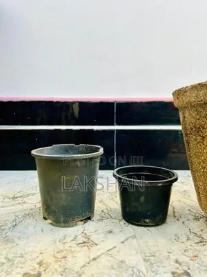Flower Pots