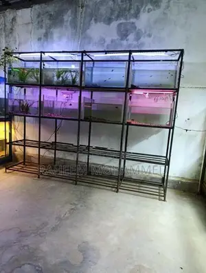 Fish Tank Full Set