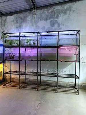 Fish Tank Full Set