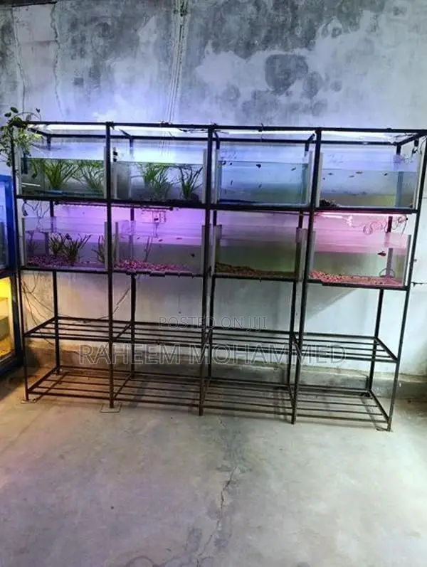 Fish Tank Full Set