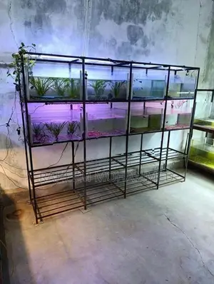 Fish Tank Full Set