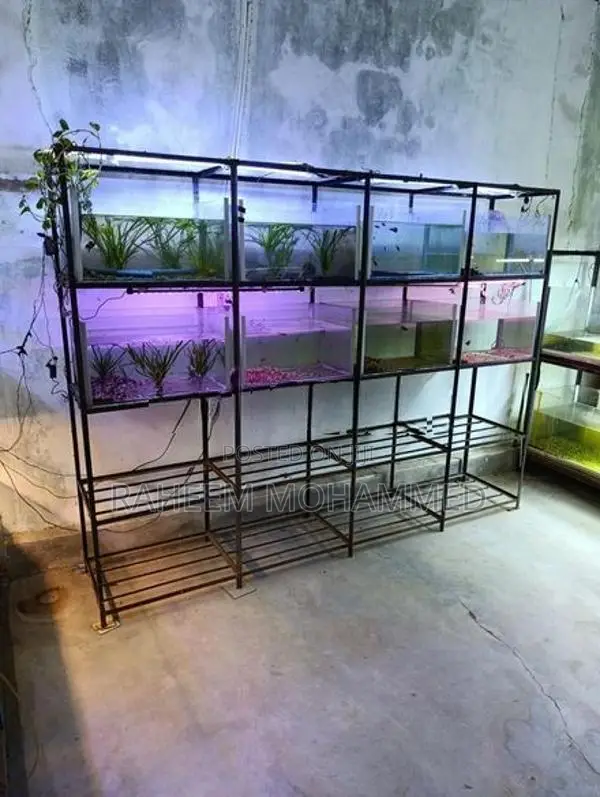 Fish Tank Full Set