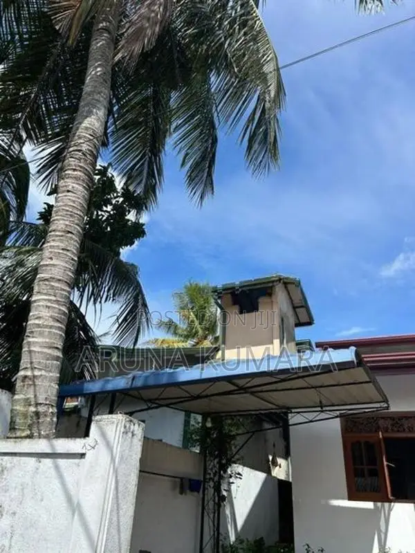 Amano Hut