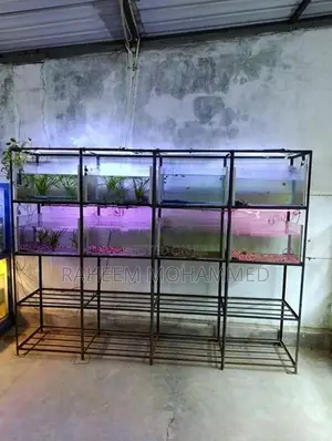 Fish Tank Full Set