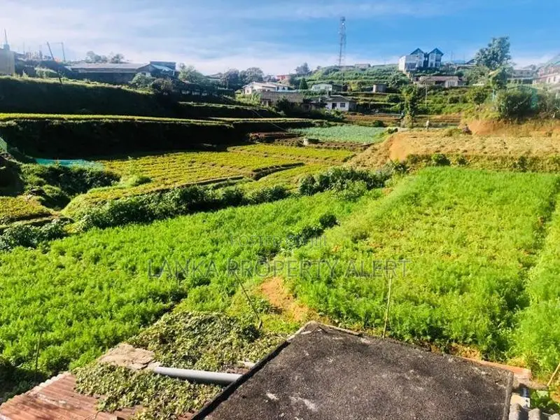 Valuable Land for Sale – Meepilimana, Nuwara Eliya