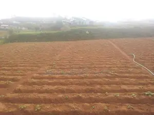 Valuable Land for Sale – Meepilimana, Nuwara Eliya