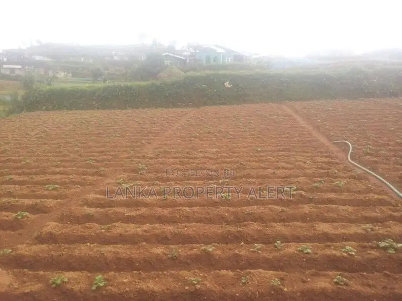 Valuable Land for Sale – Meepilimana, Nuwara Eliya
