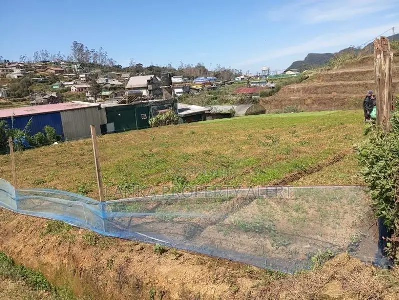 Valuable Land for Sale – Meepilimana, Nuwara Eliya