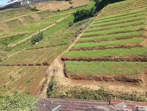 Valuable Land for Sale – Meepilimana, Nuwara Eliya