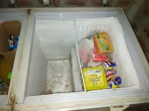 Freezer (Singer 4*2)