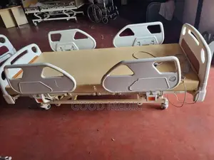 Four Function Electric Hospital Beds