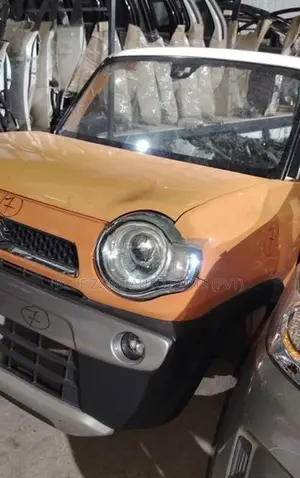 Suzuki Hustler Complete Face Cut