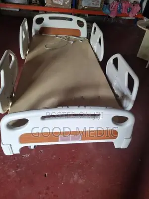 Four Function Electric Hospital Beds