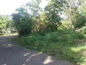 පිළියන්දල නගරයට ආසන්නව වටිනා ඉඩම විකිණීමට