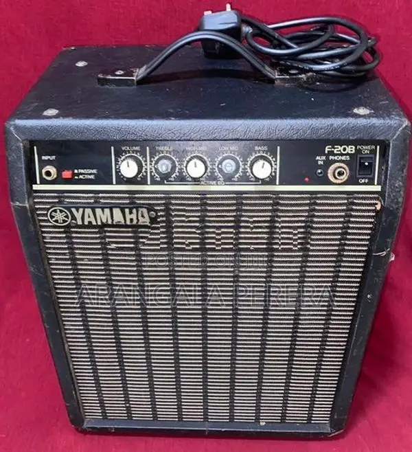 Yamaha Gutter Amplifier