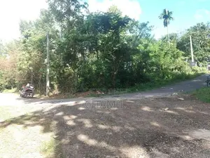 පිළියන්දල නගරයට ආසන්නව වටිනා ඉඩම විකිණීමට