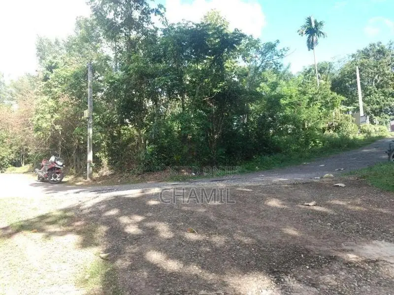 පිළියන්දල නගරයට ආසන්නව වටිනා ඉඩම විකිණීමට