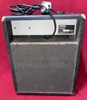 Yamaha Gutter Amplifier