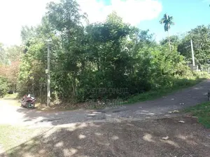 පිළියන්දල නගරයට ආසන්නව වටිනා ඉඩම විකිණීමට