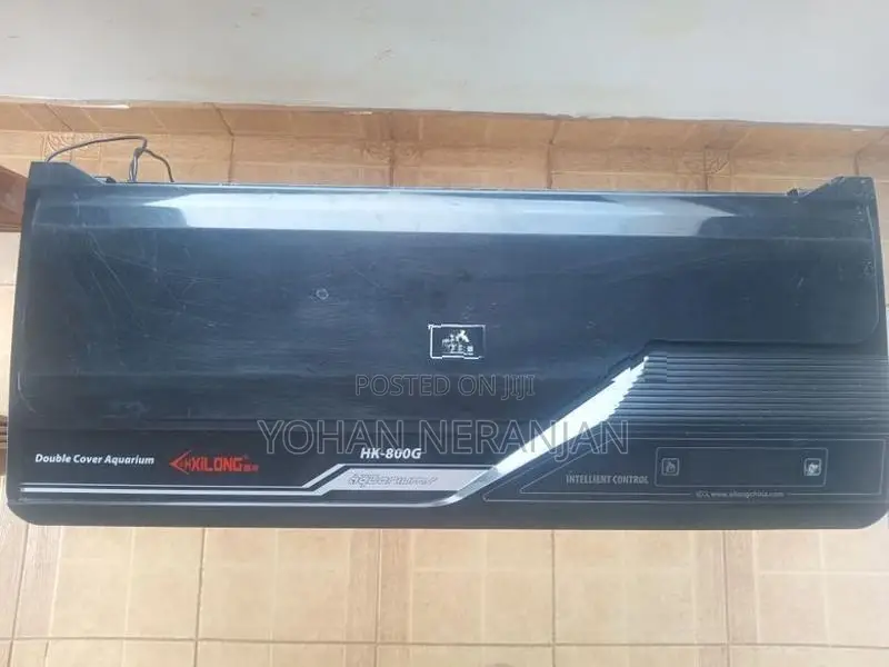 Fish Tank with Canister Filter