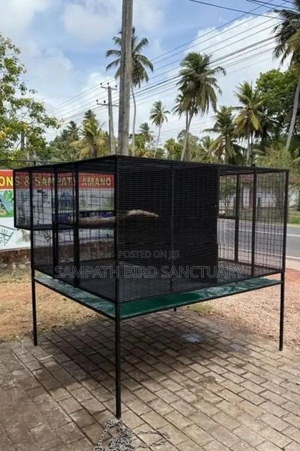 Bird Cage කුරුලු කූඩ