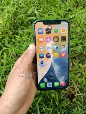 Apple iPhone 12 (Used)
