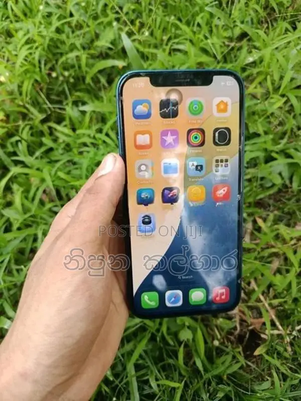 Apple iPhone 12 (Used)