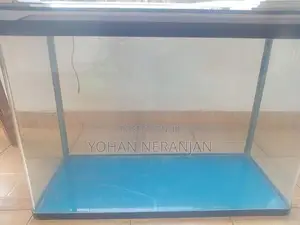 Fish Tank with Canister Filter