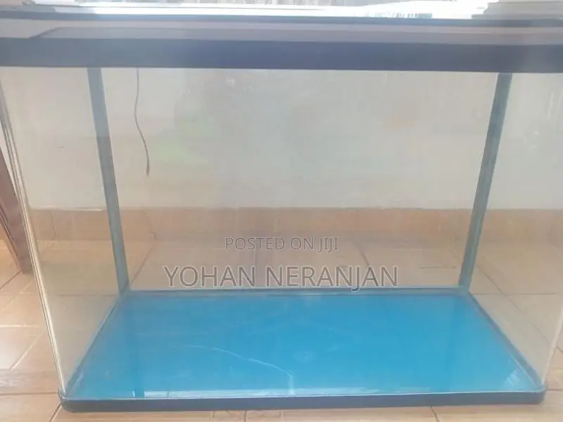 Fish Tank with Canister Filter