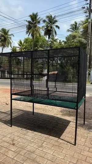 Bird Cage කුරුලු කූඩ