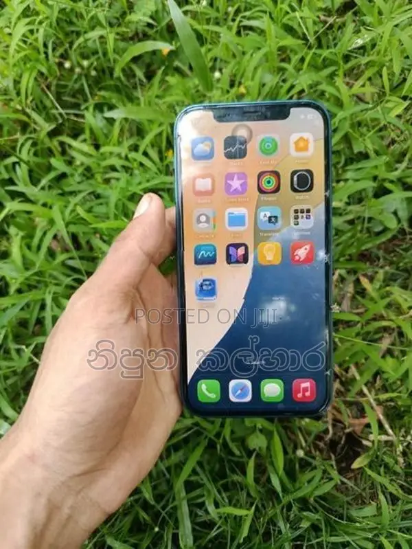 Apple iPhone 12 (Used)