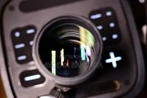 Sigma 70-200 ( Nikon Mount )