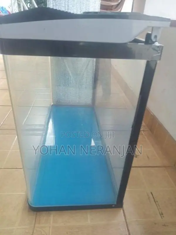 Fish Tank with Canister Filter