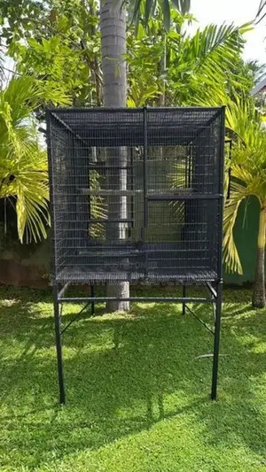 Bird Cage කුරුලු කූඩ