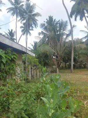 Prime Residential Land for Sale in Nattandiya