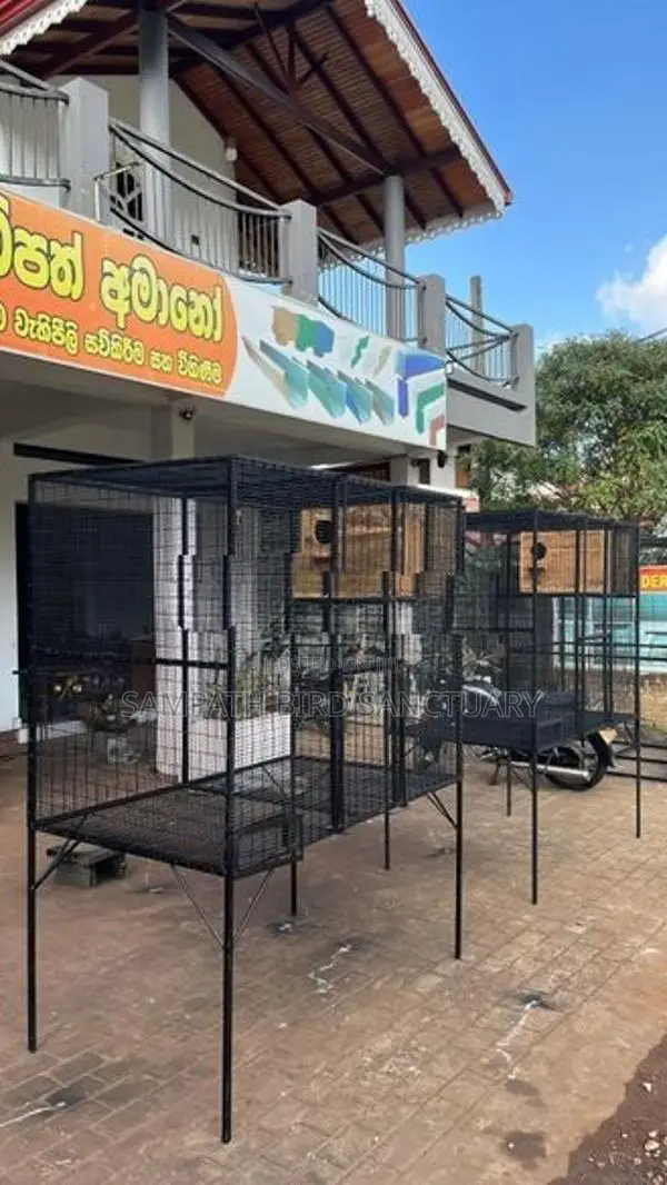Bird Cage කුරුලු කූඩ