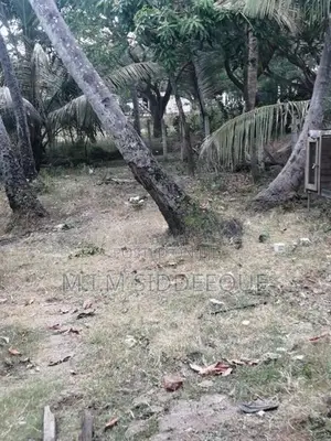 Prime Residential Land for Sale in Nattandiya