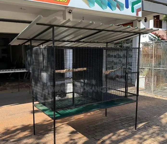 Bird Cage කුරුලු කූඩ