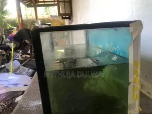 Fish Tank