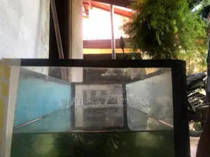 Fish Tank