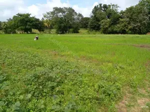 වැල්ලවාය අක්කර 1.5 ක ඉඩමක්