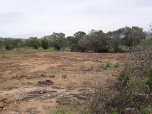 වැල්ලවාය අක්කර 1.5 ක ඉඩමක්