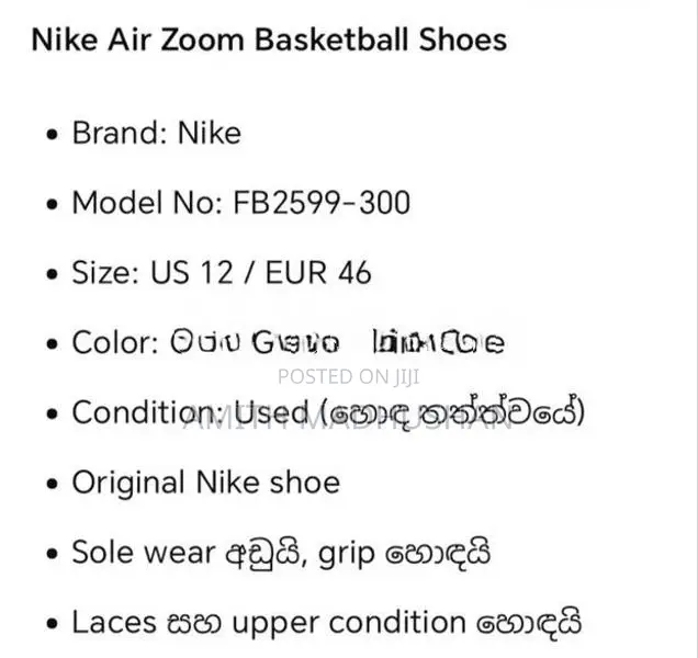 Nike Air Zoom Basketball Shoes