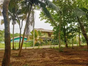 Valuable Land For Sale In Tangalle Marakolliya