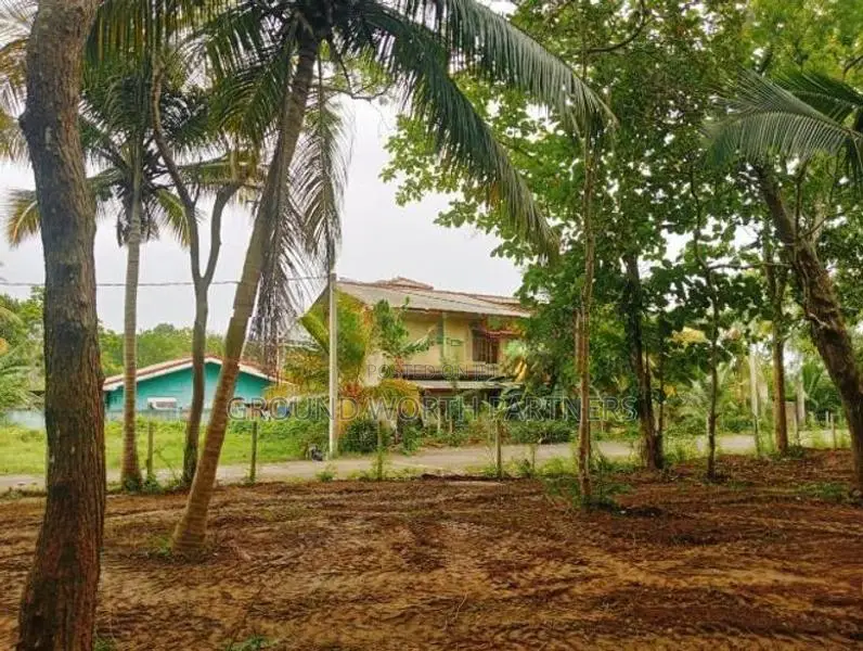 Valuable Land For Sale In Tangalle Marakolliya